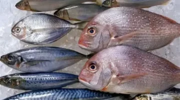 تغيرات جديدة في أسعار السمك بسوق العبور خلال تعاملات الأحد 8 مارس